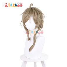 画像3: バーチャルYouTuber VTuber 叶-Kanae コスプレウィッグ ネット付き 耐熱 cosplay (3)