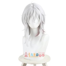 画像2: 鳴潮 メイチョウ Wuthering Waves ザンニー Zani コスプレウィッグ ネット付き 耐熱 cosplay (2)
