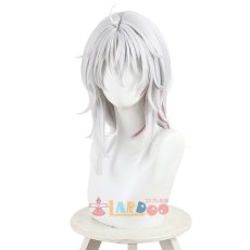 画像3: 鳴潮 メイチョウ Wuthering Waves ザンニー Zani コスプレウィッグ ネット付き 耐熱 cosplay (3)