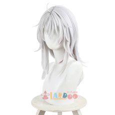 画像4: 鳴潮 メイチョウ Wuthering Waves ザンニー Zani コスプレウィッグ ネット付き 耐熱 cosplay (4)