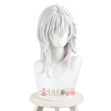 画像5: 鳴潮 メイチョウ Wuthering Waves ザンニー Zani コスプレウィッグ ネット付き 耐熱 cosplay (5)