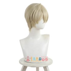 画像6: SANDAサンダ 三田一重 コスプレウィッグ ネット付き 未カット未セット 耐熱 cosplay (6)