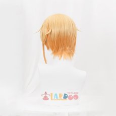 画像5: 崩壊：スターレイル リンクス-Lynx コスプレウィッグ ネット付き 耐熱 cosplay (5)