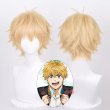 WIND BREAKER ウィンドブレイカー 楡井 秋彦 コスプレウィッグ