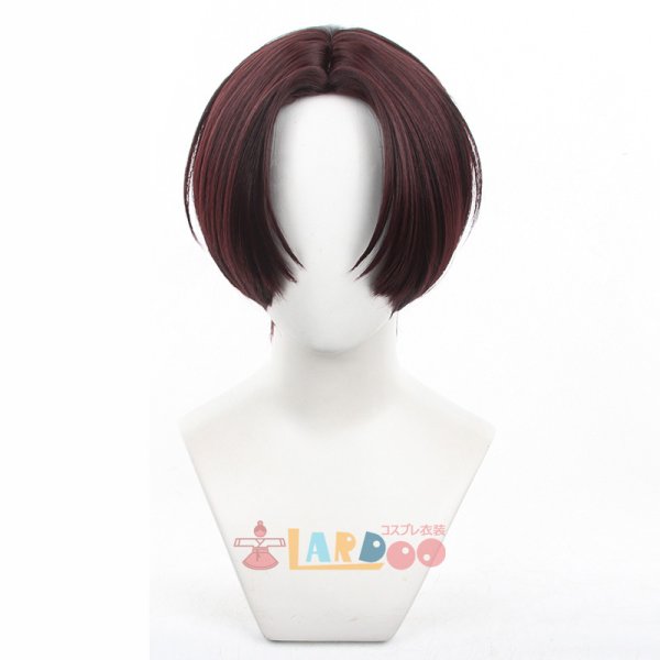 WIND BREAKER ウィンドブレイカー 蘇枋 隼飛 コスプレウィッグ ネット