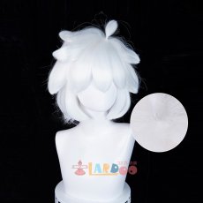 画像6: 羅小黒戦記  ロシャオヘイセンキ 羅小黒-ロシャオヘイ コスプレウィッグ 未セット ネット付き 耐熱  (6)