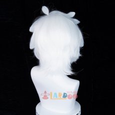 画像8: 羅小黒戦記  ロシャオヘイセンキ 羅小黒-ロシャオヘイ コスプレウィッグ 未セット ネット付き 耐熱  (8)