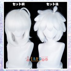 画像9: 羅小黒戦記  ロシャオヘイセンキ 羅小黒-ロシャオヘイ コスプレウィッグ 未セット ネット付き 耐熱  (9)