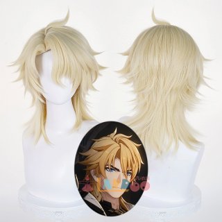 コスプレウィッグ - lardoo (Page 1)