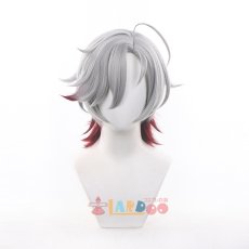 画像2: 原神 Genshin イルーガ-Illuga コスプレウィッグ ネット付き 未セット未カット 耐熱 cosplay (2)