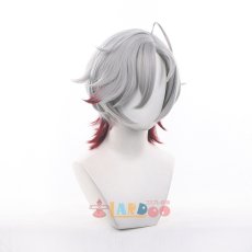 画像4: 原神 Genshin イルーガ-Illuga コスプレウィッグ ネット付き 未セット未カット 耐熱 cosplay (4)