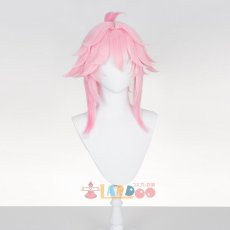 画像3: 崩壊スターレイル HonkaiStarRail 緋英-ヒエイ コスプレウィッグ 未セット ネット付き 耐熱 cosplay (3)