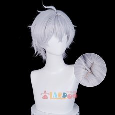 画像4: NTE Neverness to Everness 男性主人公 異能者・零 コスプレウィッグ 未セット ネット付き 耐熱 cosplay (4)