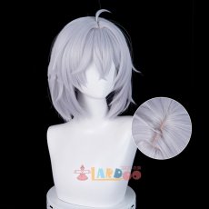 画像4: NTE Neverness to Everness 女性主人公 異能者・零 コスプレウィッグ 未セット ネット付き 耐熱 cosplay (4)