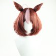 ウマ娘 プリティーダービー メイショウドトウ コスプレウィッグ 耳付き