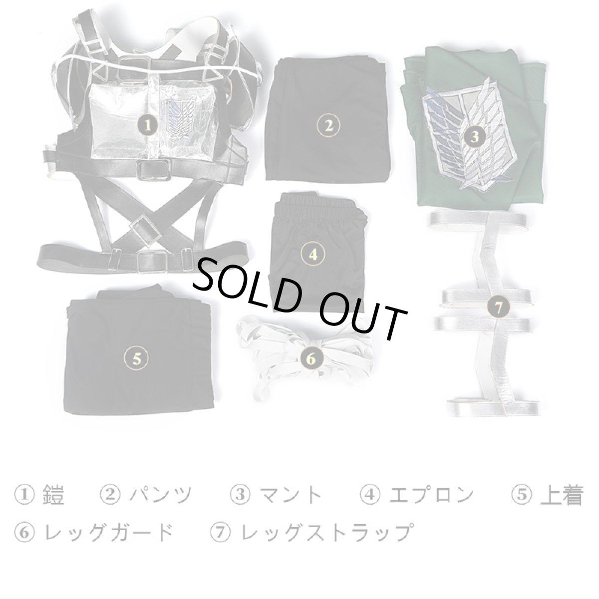 画像7: 進撃の巨人 The Final Season(ファイナルシーズン)調査兵団 自由の翼 新立体機動装置  三笠 コスプレ衣装 コスチューム cosplay  (7)