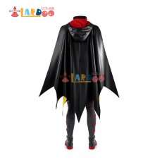 画像5: ロビン ダミアン・ウェイン（Damian Wayne）五代目Robin コスプレ衣装 コスチューム cosplay (5)